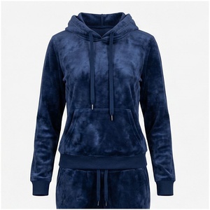 Unisex Blue <b>Velour</b> Hooded <b>Tracksuit</b> Full Length Solid Color Casual Sweatpants Jacket Set Winter Wear Breathable Midweight - Product Image 3