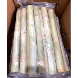 Caña de azúcar congelada para bebidas y postres | 100% Caña de azúcar natural al por mayor de Vietnam - Product Image 2