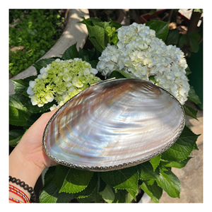 กล่องเครื่องประดับเปลือกหอยสีรุ้ง กล่องใส่เครื่องประดับเปลือกหอยรูปวงรี ดีไซน์แปลกตา ผิวมุกธรรมชาติ กล่องวินเทจประกายรุ้ง - Product Image 1