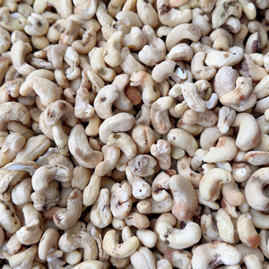 Trusted Supplier <b>Nuts</b> <b>Kernels</b> Cashew <b>Kernel</b> SANTIGO Cashew <b>Nuts</b> SK Low MOQ Custom Packing - Product Image 1
