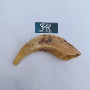 Meilleure vente Corne de bélier naturelle Shofar magnifiquement conçu pour les cérémonies fêtes juives usage spirituel et événements religieux - Product Image 5