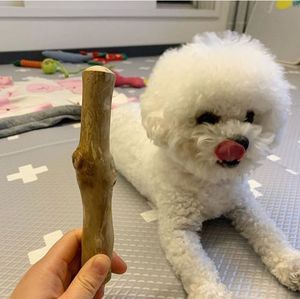 Eco2go Vietnam Bâton à mâcher pour chien en bois de café durable |   Nettoyage des dents naturel et écologique, utilisation quotidienne interactive - Product Image 4