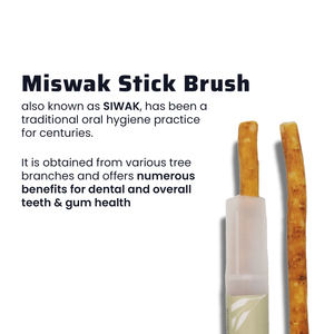 Cepillo de Dientes de Madera Orgánico Natural al por Mayor, Palo de Higiene Bucal Multiusos, OEM/ODM, Marca Privada, Cuidado Bucal Herbal - Product Image 3