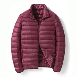 Veste matelassée légère et décontractée pour l'extérieur, style streetwear, imperméable, pour la saison hivernale, personnalisable, en coton et polyester, prix de gros - Product Image 2