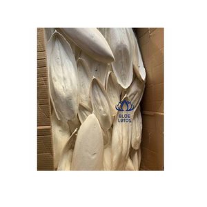 HOT PREMIUM Eco Round <b>Fish</b> Meal Natural Calcium Source for Bird Cage Pet Shops Wholesale Export Market - Product Image 1