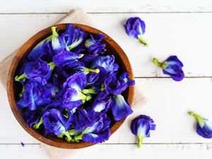 Standard Bulk Dried Butterfly Pea Flowers Natural Blue Petals Herbal Tea 100% Natural <b>Slimming</b> Beverage Vietnam Handmade - Product Image 6