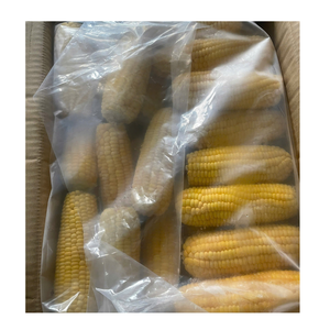 Granos de maíz congelados a granel para comidas preparadas y fabricación de alimentos - Product Image 1