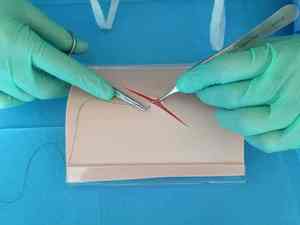 Complete Surgical Suture <b>Practice</b> Kit Stainless Steel Scissors Forceps Minor Surgery Training Curved Suture <b>Pad</b> Manual Power - Product Image 2