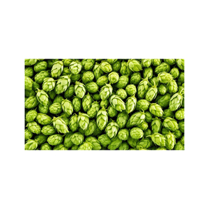 Lúpulo Crudo de Primera Calidad, Producto Agrícola Seleccionado con Rico Aroma Natural y Suministro Confiable - Product Image 1