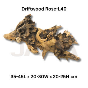 Décoration d'aquarium en bois flotté et bambou rose, écologique et décorative pour terrarium et vivarium Java - Product Image 2