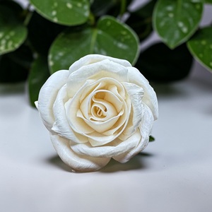 ดอกไม้ไม้โซลา VADEE SOLA WOOD FLOWER ทำมือ งานฝีมือแบบยั่งยืน ดอกกุหลาบคลาสสิก ไม้โซลา 8.5 ซม. ก้านใยพืชเซสบานียา ประเทศไทย - Product Image 1