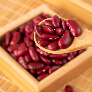 Nouvel Arrivage – Haricots Rouges en Gros, Qualité Supérieure, Prêts à Expédier, Meilleures Ventes à l'Exportation - Product Image 4