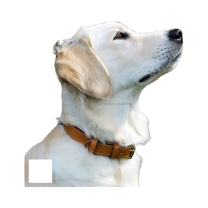 Collar para perro acolchado de cuero, tacto suave, alta calidad - Product Image 1