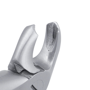 Forceps d'extraction pédiatriques 2C pour molaires inférieures, en acier inoxydable, instrument chirurgical dentaire pour l'extraction des dents, chirurgie buccale - Product Image 6