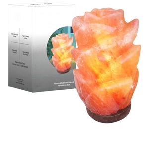 Applique murale led sel naturel, petite veilleuse, pour chambre à coucher, salle de bains, cuisine - Product Image 1