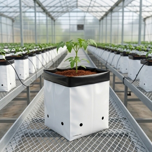Wholesale Plastic Coconut Coir Grow <b>Bags</b> for Mushroom Grow & <b>Nursery</b> Use Eco-Friendly Hydroponics Greenhouse Indian Made Black - Product Image 6