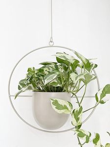 Pot de fleurs suspendu minimaliste moderne avec cadre métallique circulaire pour plantes vertes - Product Image 4