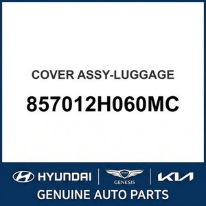 Elantra Nuevo, Otras Piezas y Accesorios para Autos y Camionetas 857012H060MC - Product Image 1