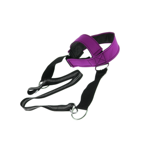 Head Harness Neck Exercise Gym Training Dipping Weight Lifting Chain <b>Adjustable</b> Low Price Head Harness Maximum Weight Support - Product Image 4