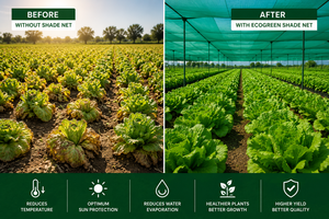 ตาข่ายบังแดด TANDHAN POLYPLAST EcoGreen สำหรับป้องกันรังสียูวี ใช้คลุมพื้นที่การเกษตร - Product Image 4