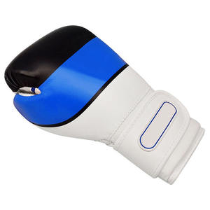 Guantes de Boxeo de Diseño Personalizado a Precio de Mayoreo RTS, Cuero Genuino de Piel de Vaca, Opciones de Logotipo Personalizado, Guantes de Sparring AS-BG-4753 - Product Image 6