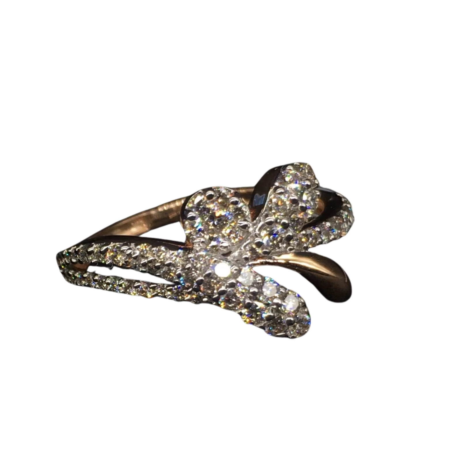 Rose d'or