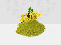 Poudre d'extrait pur de feuilles de Cassia Angustifolia – Ingrédient botanique naturel à base de plantes pour compléments alimentaires et formules de bien-être - Product Image 2