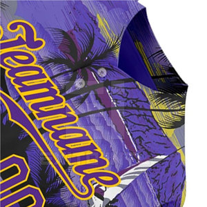 OEM Custom 2026 Best Quality Baseball Jersey 3D Embroidery Logo Short Men's Polyester Quick Dry Lightweight Sports Apparel - Product Image 5