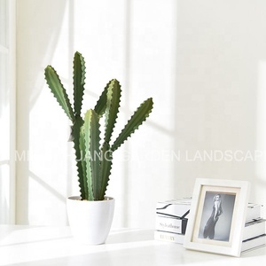 <span class=keywords><strong>Cactus</strong></span> suculento artificial <span class=keywords><strong>para</strong></span> decoración del hogar, plantas <span class=keywords><strong>de</strong></span> árbol <span class=keywords><strong>de</strong></span> imitación, <span class=keywords><strong>cactus</strong></span> decorativo artificial <span class=keywords><strong>para</strong></span> interiores <span class=keywords><strong>de</strong></span> plástico en maceta - Product Image 6