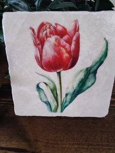 Sous-verres à fleurs de printemps, sous-verres rouges à motif floral, cadeau pour les amateurs de thé, de café et de gin - Product Image 2