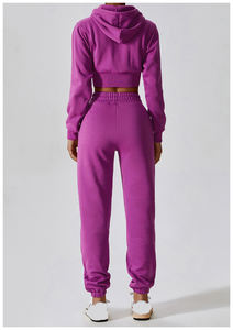 Ensemble de survêtement décontracté pour femmes, 2 pièces, haut zippé et pantalon à taille élastique, survêtement coupe-vent pour femmes, ensemble de survêtement de haute qualité - Product Image 2