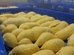 Purée de durian surgelée de qualité supérieure, qualité export, purée de fruits tropicaux - Product Image 1