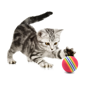 Balles d'entraînement en mousse arc-en-ciel Kinghon, en EVA coloré, jouets interactifs pour chiens, amusants pour chats et chatons - Product Image 5