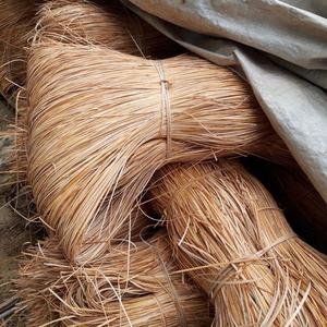 HIGH QUALITY Shiny Rattan Cane Peel Splits Natural Flexible Rattan Skin for Luxury <b>Wicker</b> Furniture Binding - Product Image 1
