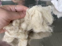 Fibre de feuille d'ananas de qualité d'exportation du Vietnam pour la filature, le tissage de produits capillaires et de tissus biodégradables