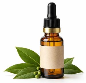 Huile Essentielle de Feuille de Laurier 100% Pure OEM, Huile de Laurus Nobilis pour l'Aromathérapie, le Massage, les Soins de la Peau et des Cheveux, Fournisseur en Gros - Product Image 1