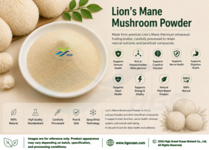 Approvisionnement direct d'usine HGO de poudre de champignon de crinière de lion naturelle pure (qualité alimentaire) poudre fongique (poudre de fruits ou de légumes) - Product Image 2