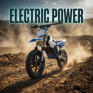 Mini Pit Bike Électrique Tout-Terrain en Acier de Haute Qualité, Moteur Brushless 60V 800W, Suspension Avant/Arrière, Vitesse Maximale 40-60km/h - Product Image 3