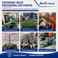 Vanne à boisseau sphérique CF8 en acier inoxydable à bonnet allongé pour services GNL et azote liquide DN15-DN250 à brides cryogéniques