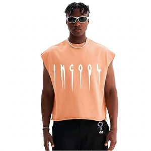 Camiseta sin mangas personalizada de algodón de alto gramaje para hombre, estilo hip hop, con serigrafía, para entrenamiento, con etiqueta privada. - Product Image 1