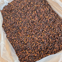 Clavos de Olor Secos de Sulawesi Tenggara, Indonesia, 2 Años de Vida Útil, Marca Global Agrokomoditi, Directo de Fábrica