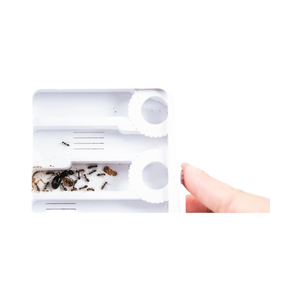 Módulo de Nido Acrílico Ecológico Ant Tech Base TC02 para Hormigas - Diseño Moderno para Uso en Interiores - Product Image 1