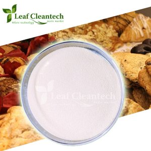 Fabricant d'enzymes de haute qualité en gros de protéase neutre pour les applications alimentaires et nutritionnelles de Bangalore, Karnataka, Inde - Product Image 2