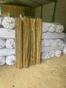 Poteaux en bambou naturel pour le soutien des plantes agricoles, fournis en gros par l'usine du Vietnam - Product Image 4