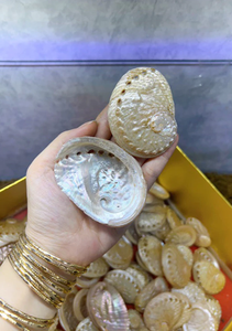 Coquille d'ormeau naturelle polie, matériau artisanal écologique de forme unique du Vietnam pour la décoration intérieure et les créations faites à la main - Product Image 4