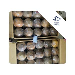 Assiettes en feuilles de palmier de haute qualité, jetables, pour traiteur, événements, fêtes, buffets et utilisation alimentaire, Vietnam - Product Image 1