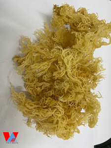 Eucheuma cottonii แห้งคุณภาพสูงมอสทะเลไอริชวัชพืช (kappaphycus alvarezii) ในถุงจำนวนมาก/Ms. Lima - Product Image 3