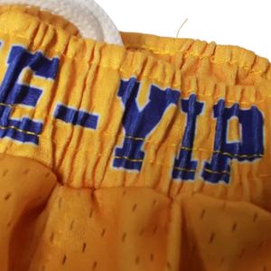 Pantalones Cortos de Baloncesto de Malla de Algodón Dorado Sigma Gamma Rho, Pantalones Cortos Deportivos Personalizados de la Hermandad Griega, Ropa Deportiva Transpirable para Equipos - Product Image 4