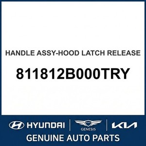 Panneaux de capot neufs pour Elantra 811812B000TRY - Product Image 1