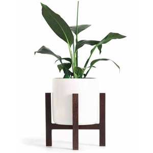 HOMEJOY2000 Pot de fleurs en céramique avec support en bois SPT3 pour plantes d'intérieur/extérieur et décoration - Product Image 1